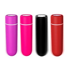 Bullet Mini Massageador 9 Vibrações USB e Controle Remoto Sexy Import